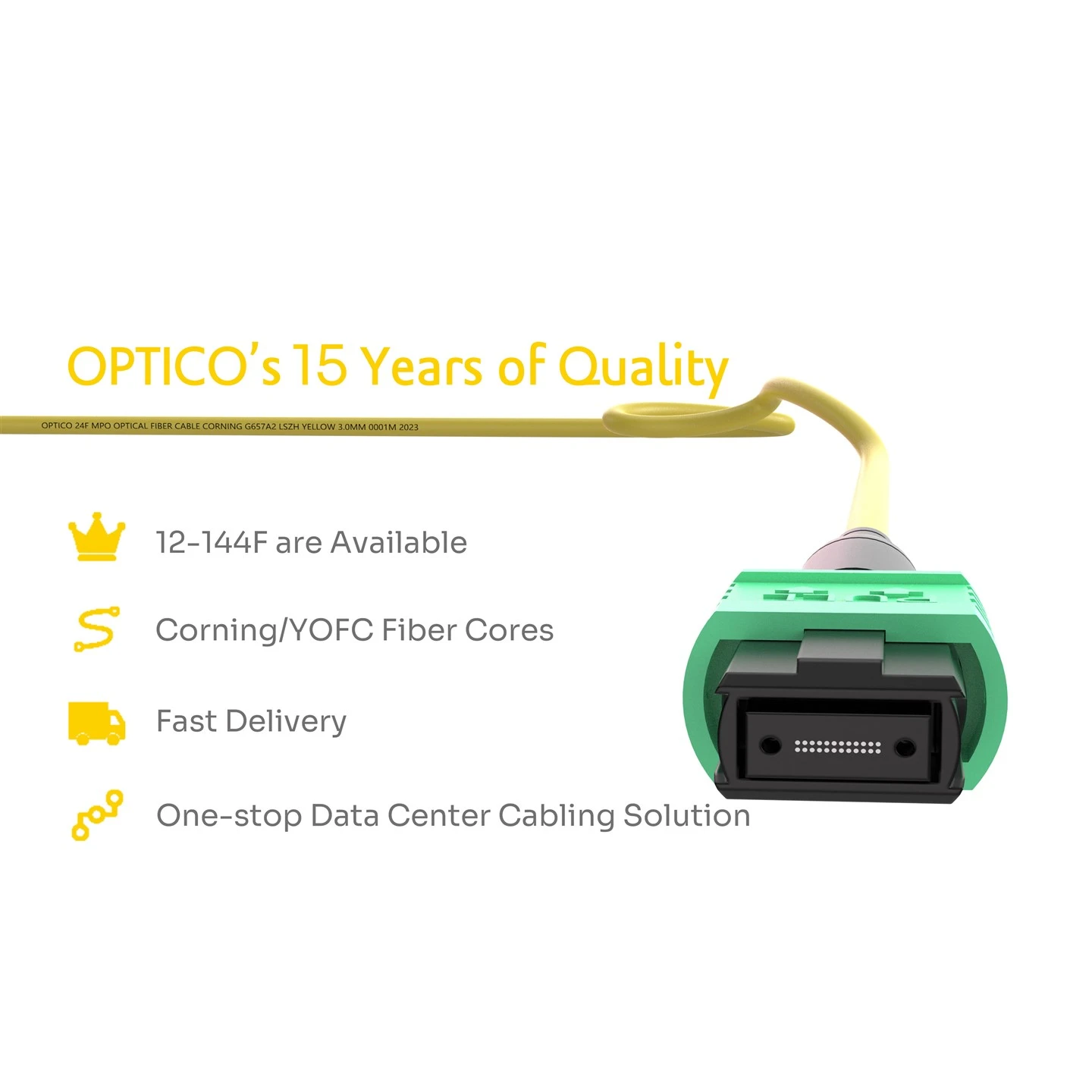 24F MPO-MPO Female Trunk Cable OS2