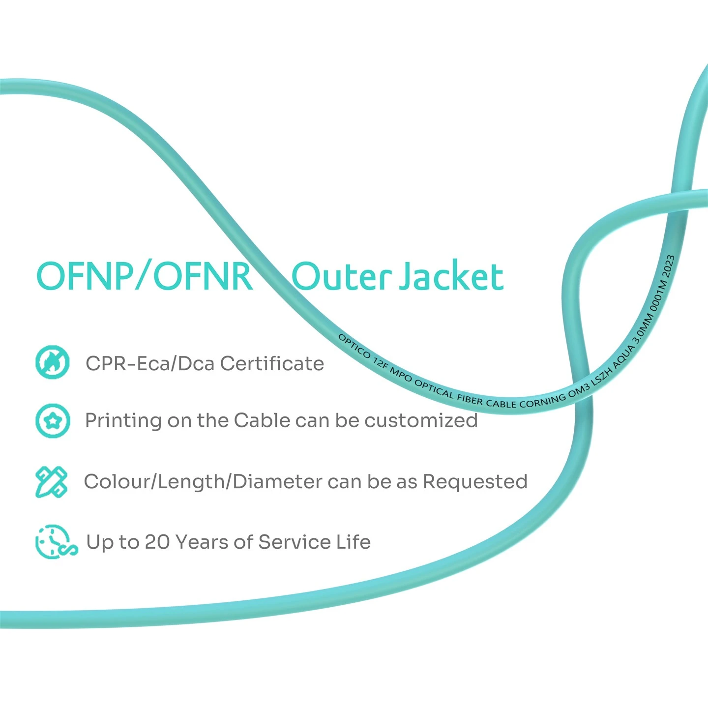 MPO MTP Branch Jumper MPO MTP Branch Jumper